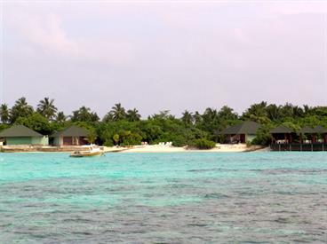 2004 Meedhupparu Malediven,_DSC03488 B_478